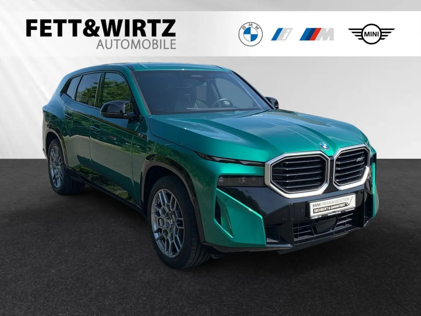 BMW Xm