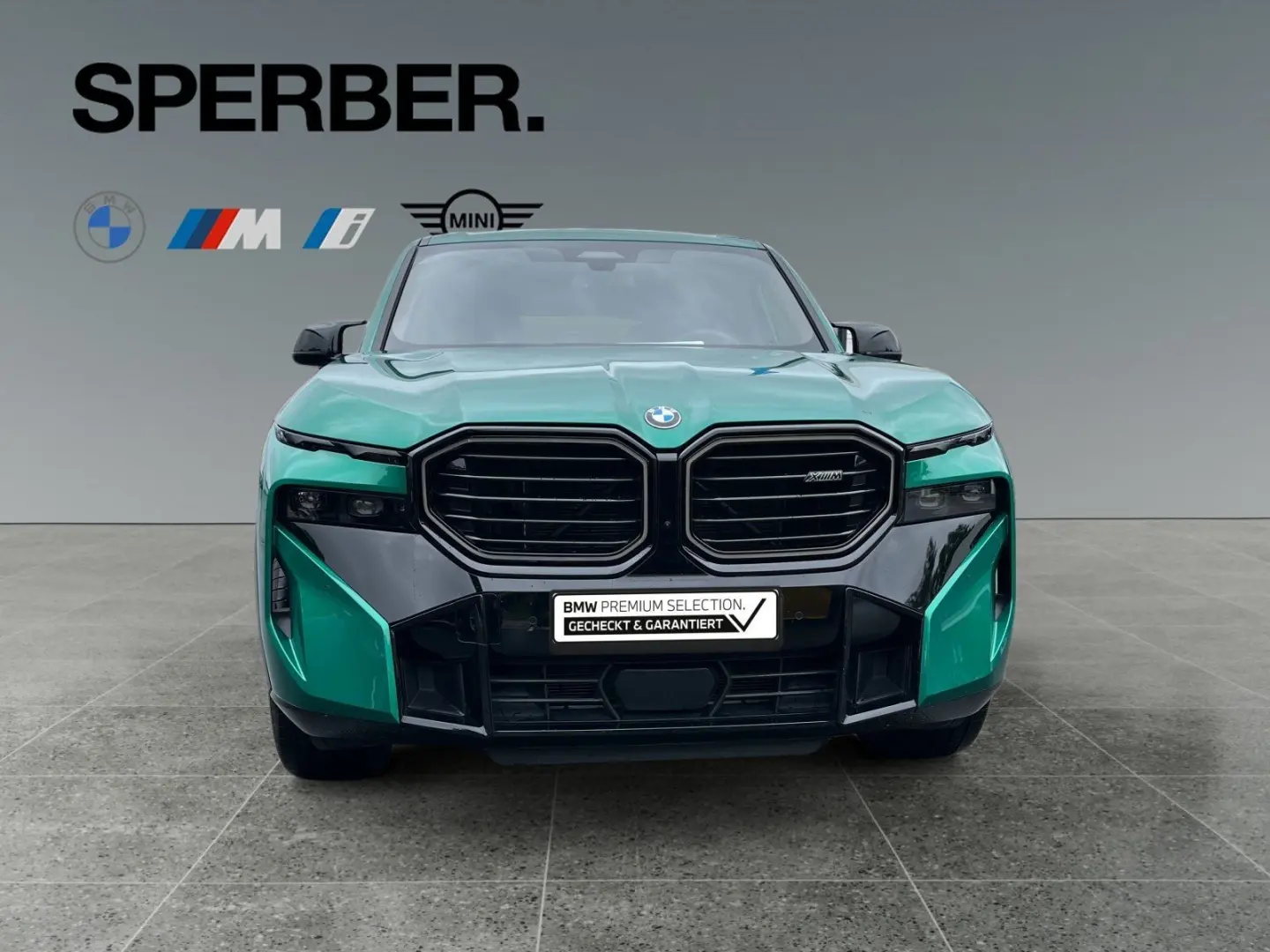 BMW Xm