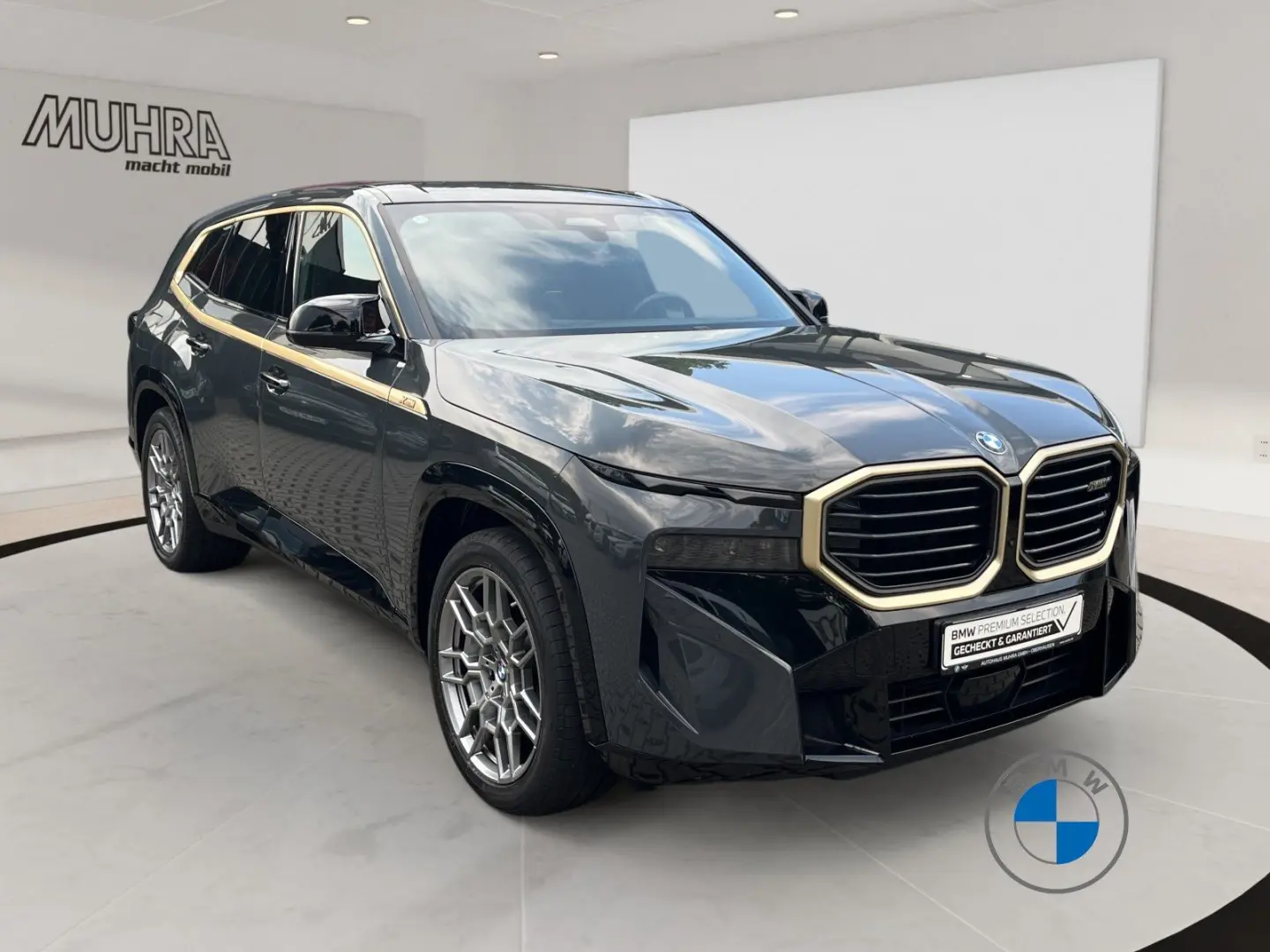 BMW Xm