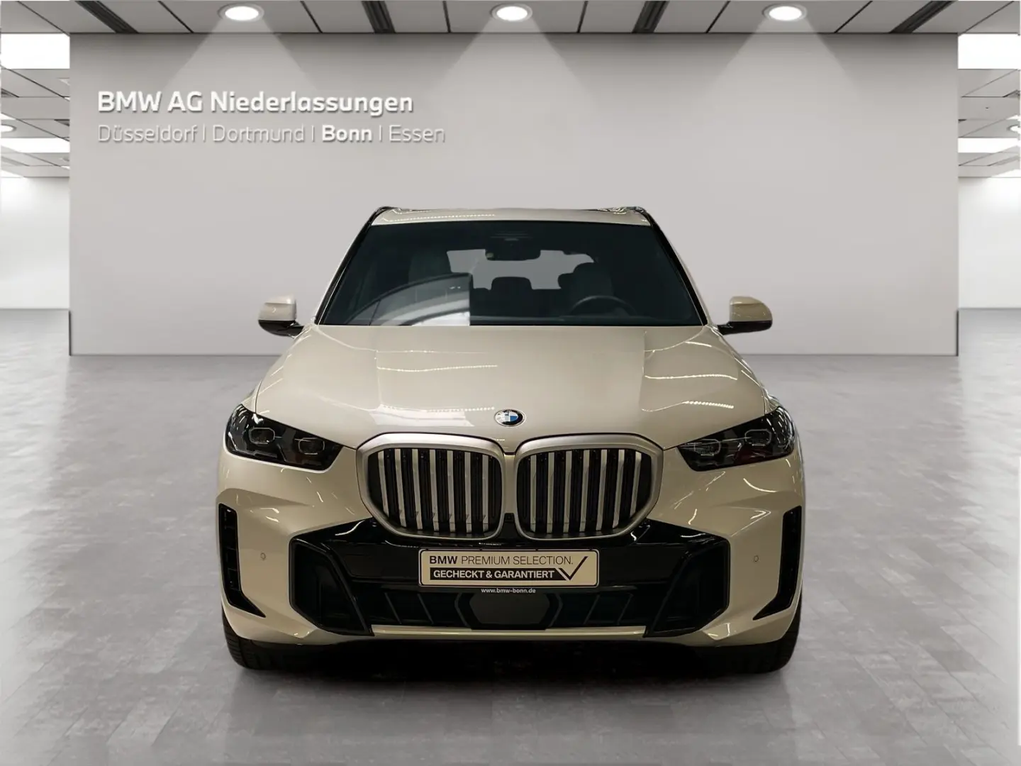 X5 xDrive40i M Sport Standheizung AHK Harman K