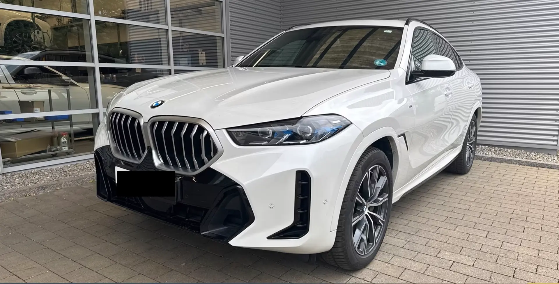 BMW X6