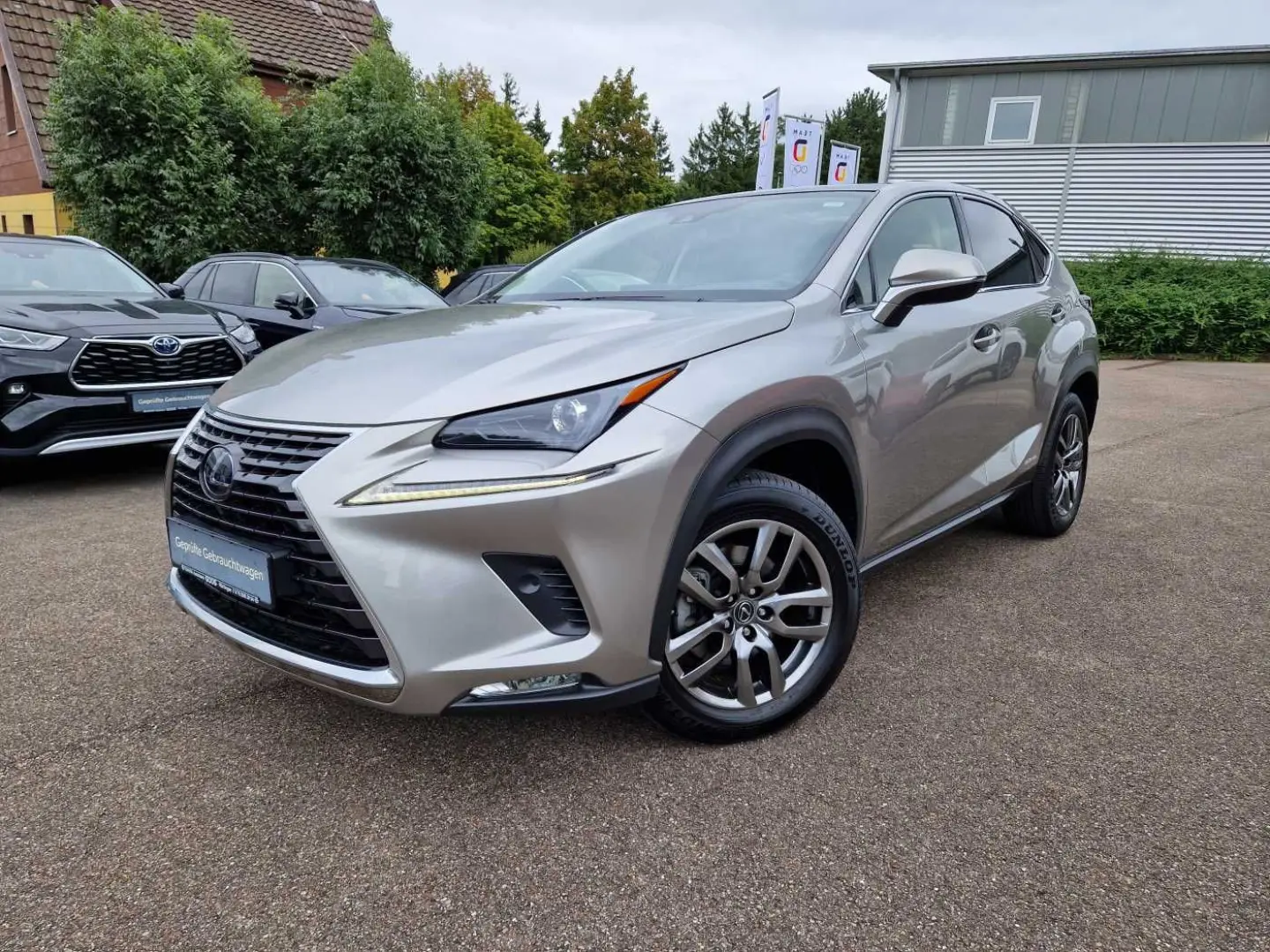 Lexus Nx 300