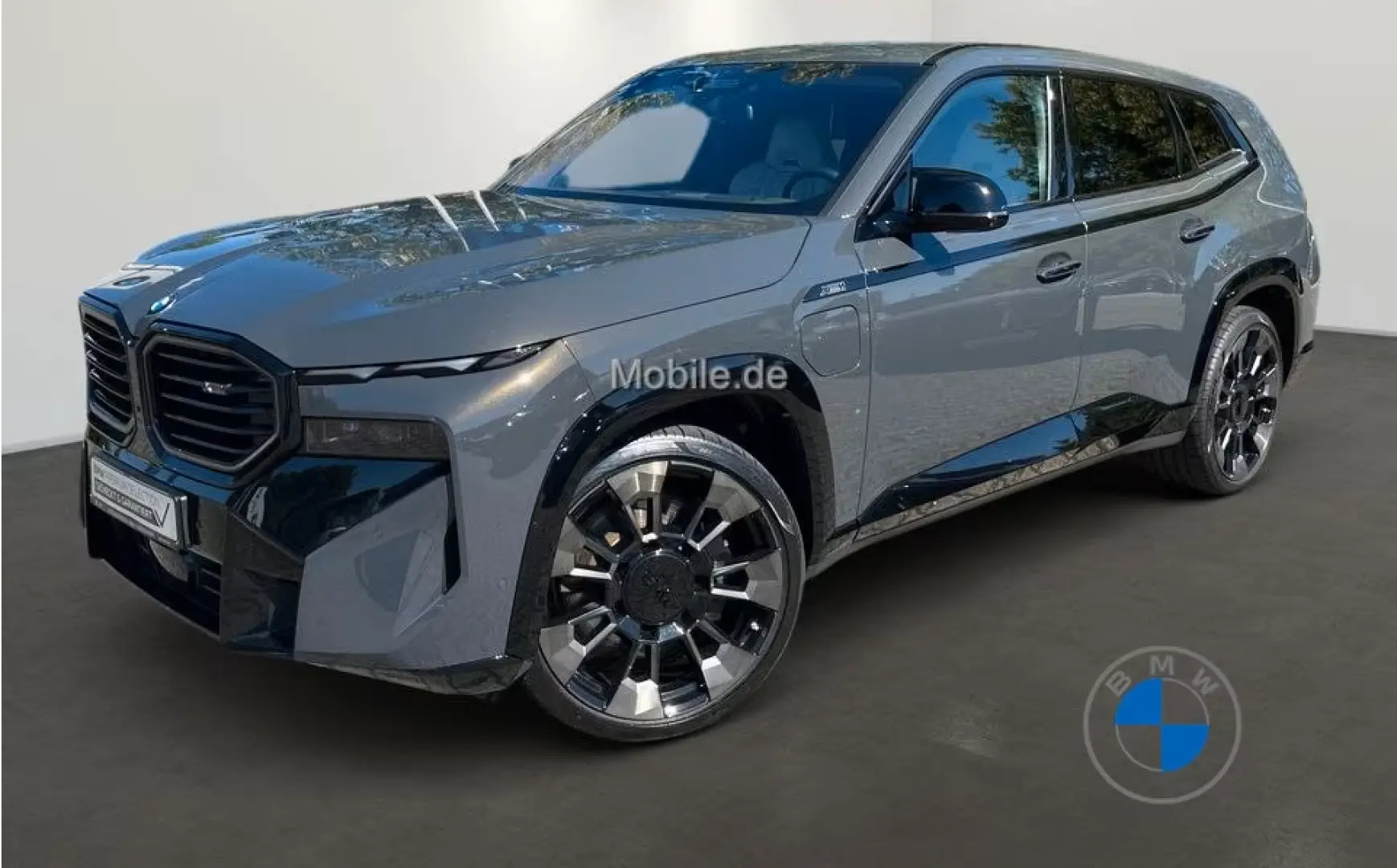 BMW Xm