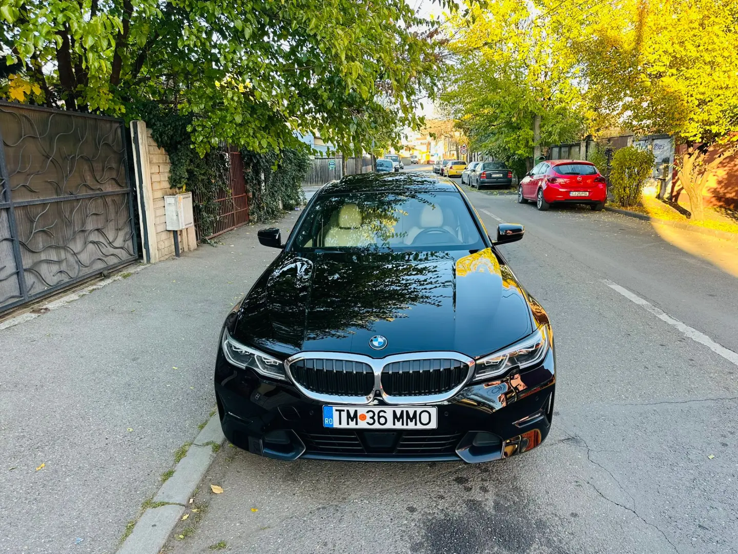 BMW 330