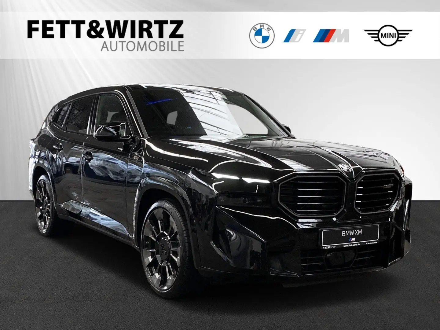 BMW Xm