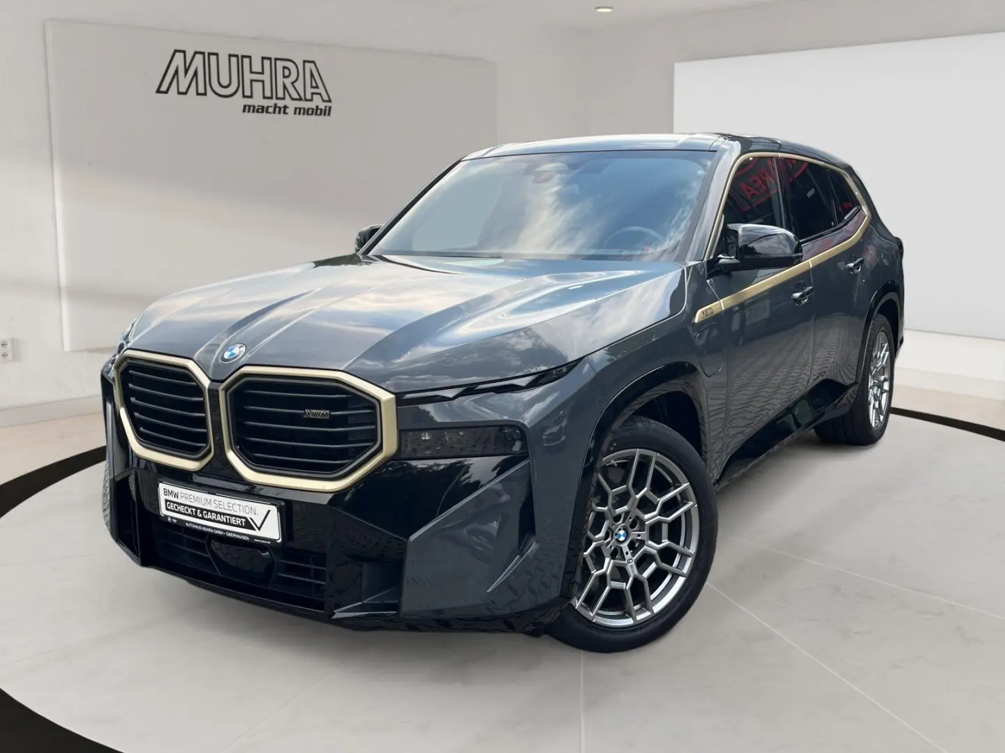 BMW Xm