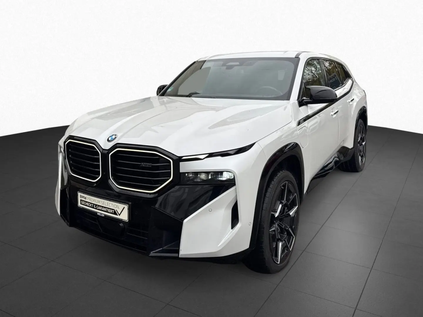 BMW Xm