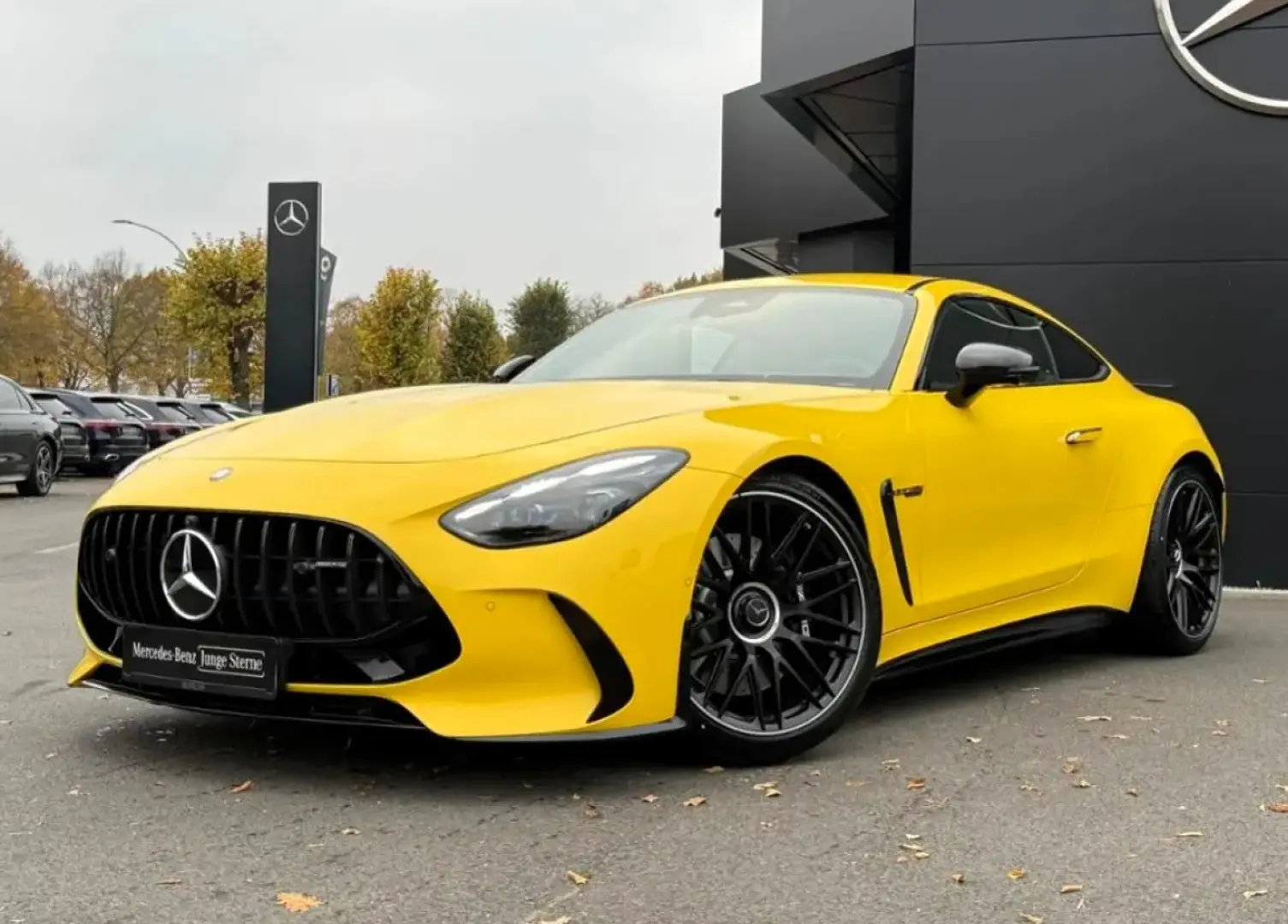 AMG GT 63 4M AMG Night Carbon Perf. Sitze Lift
