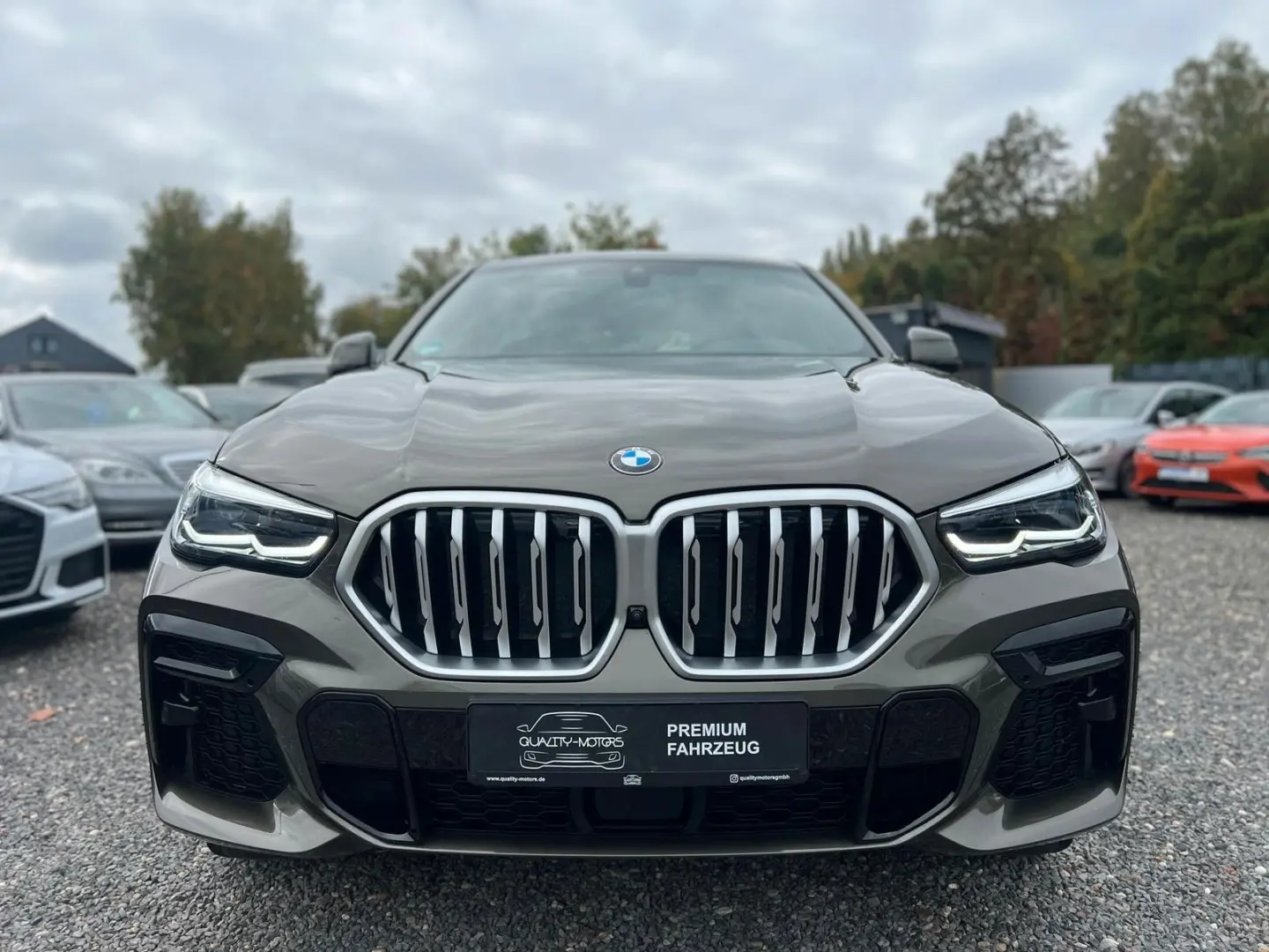 BMW X6