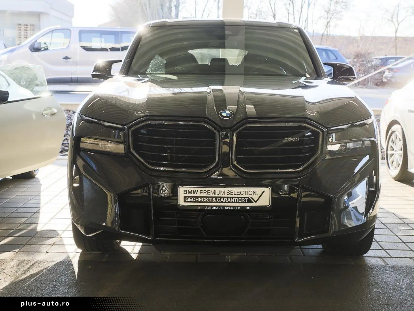 BMW Xm