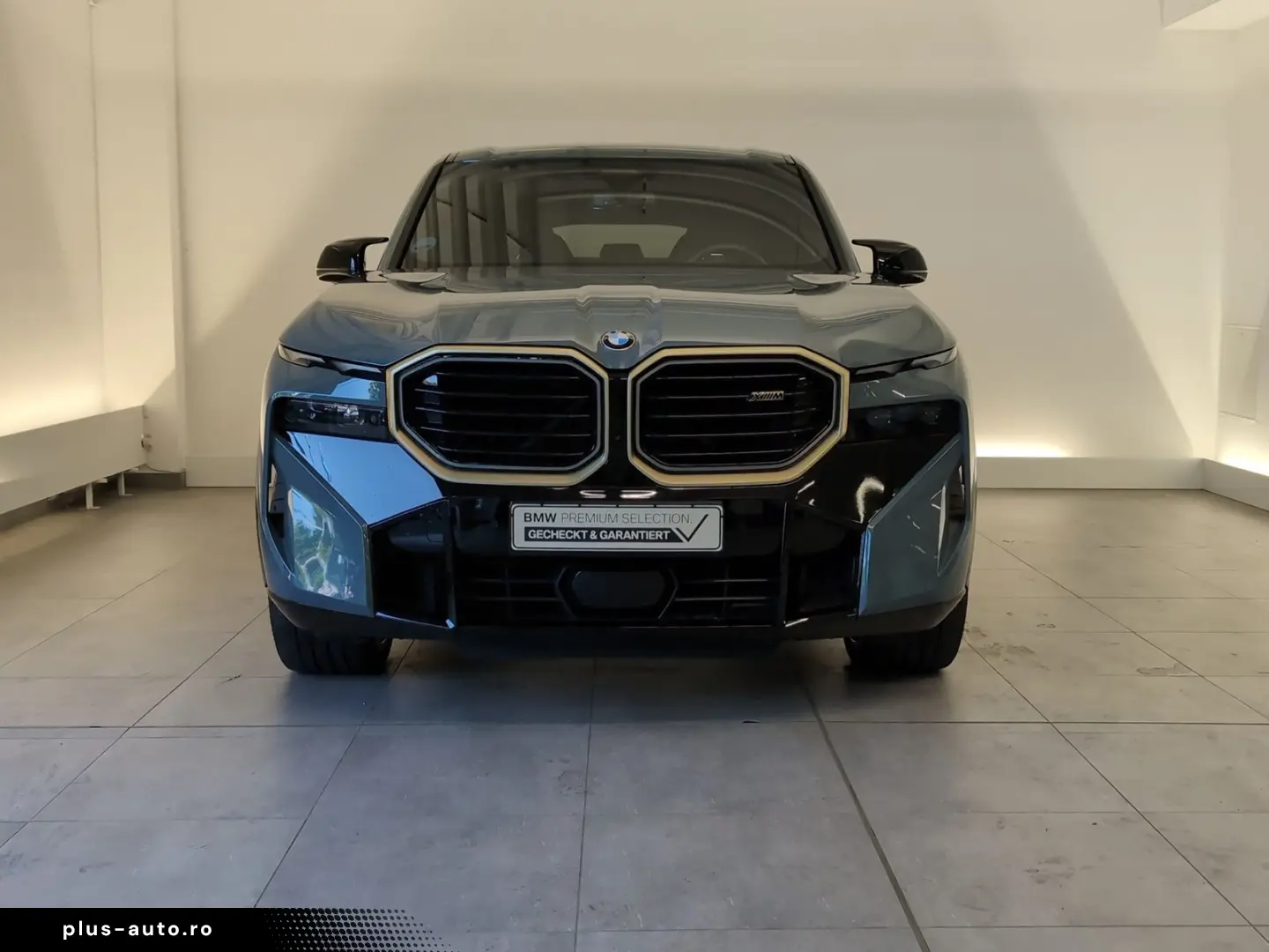 BMW Xm