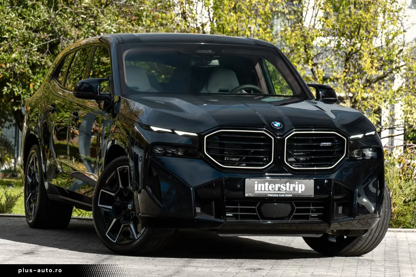 BMW Xm