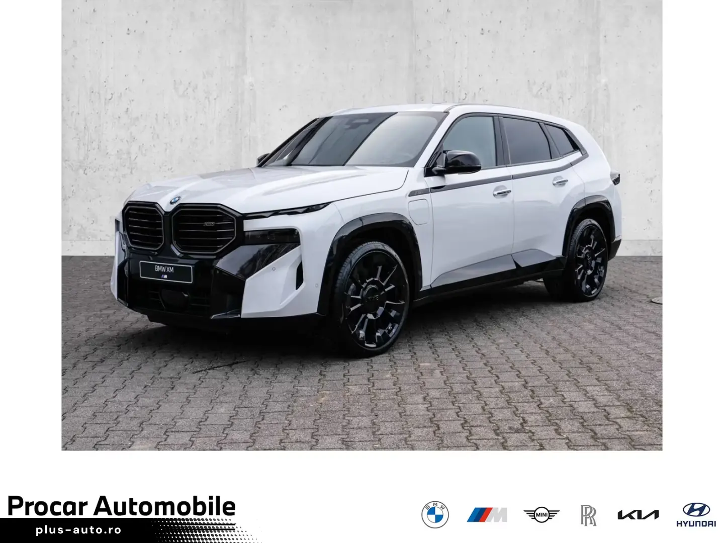 BMW Xm