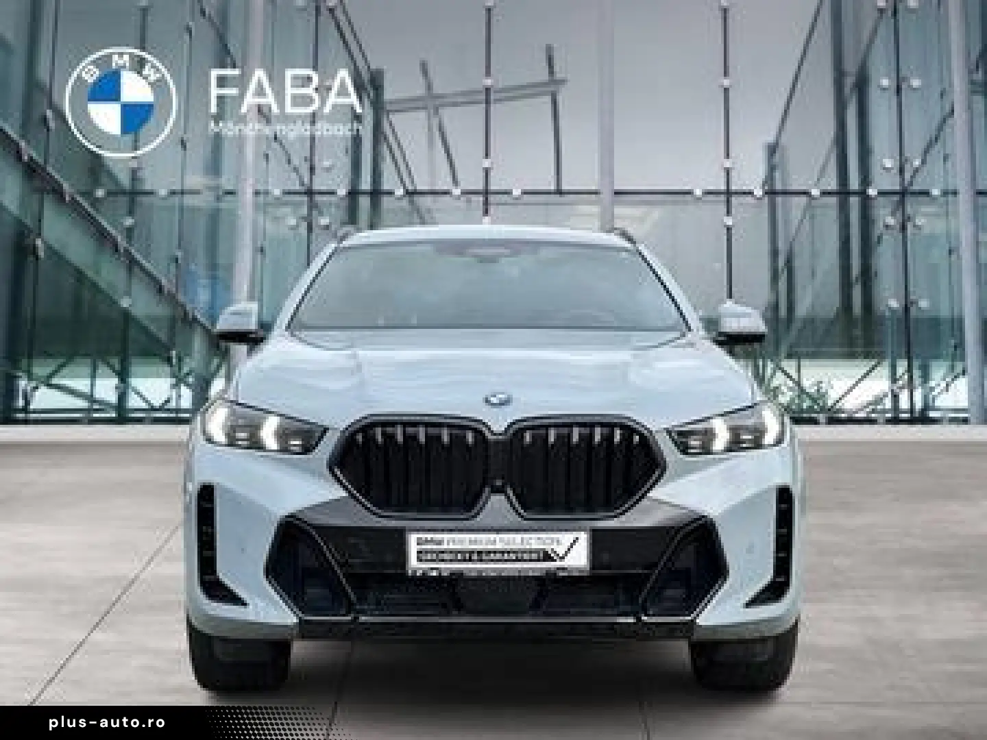 BMW X6 M