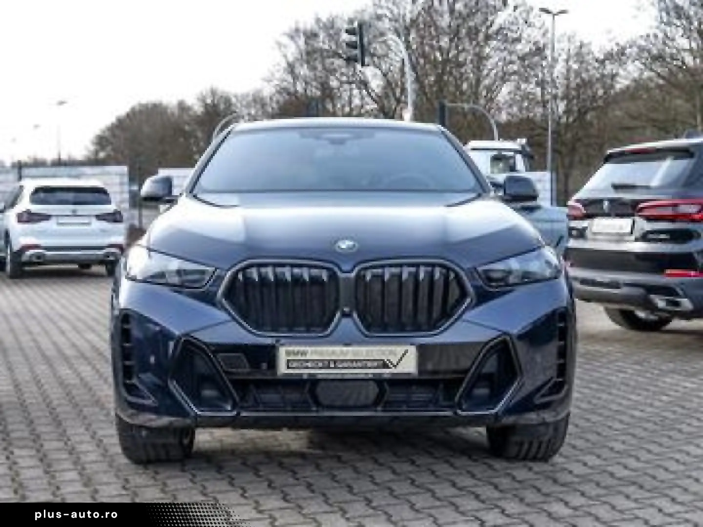 BMW X6 M