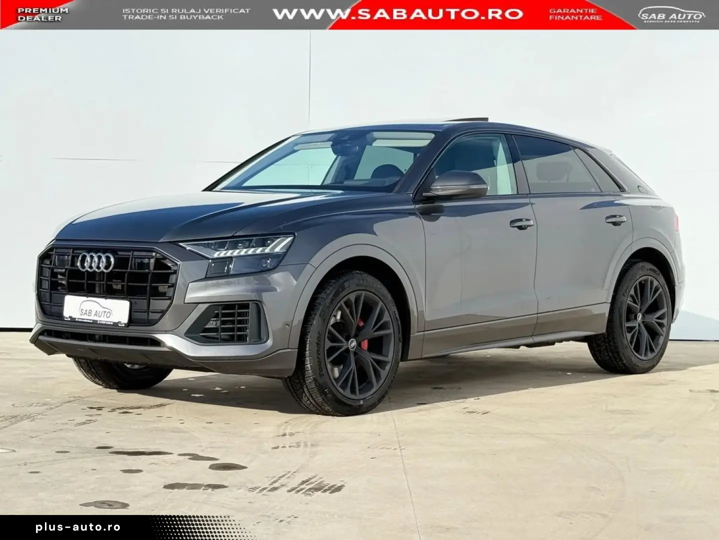 Audi Altele