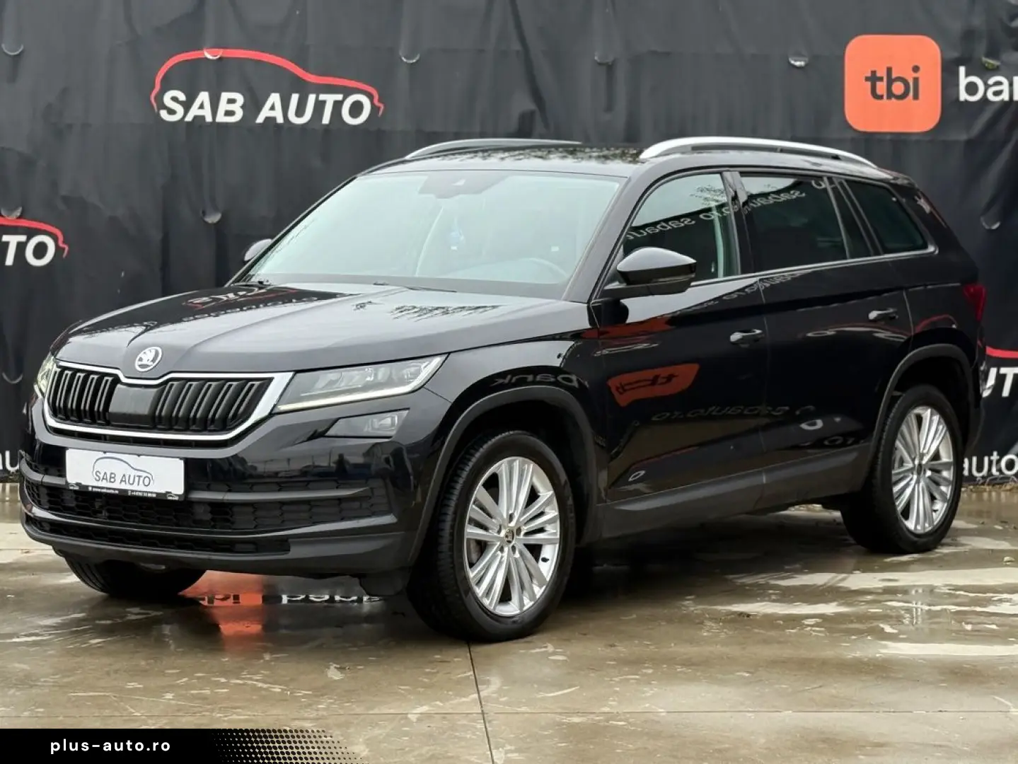 Skoda Altele