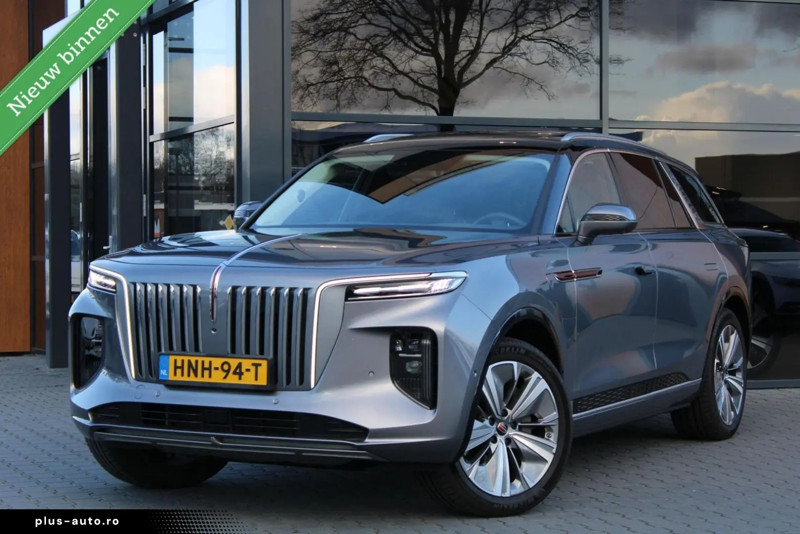 Hongqi E-Hs9