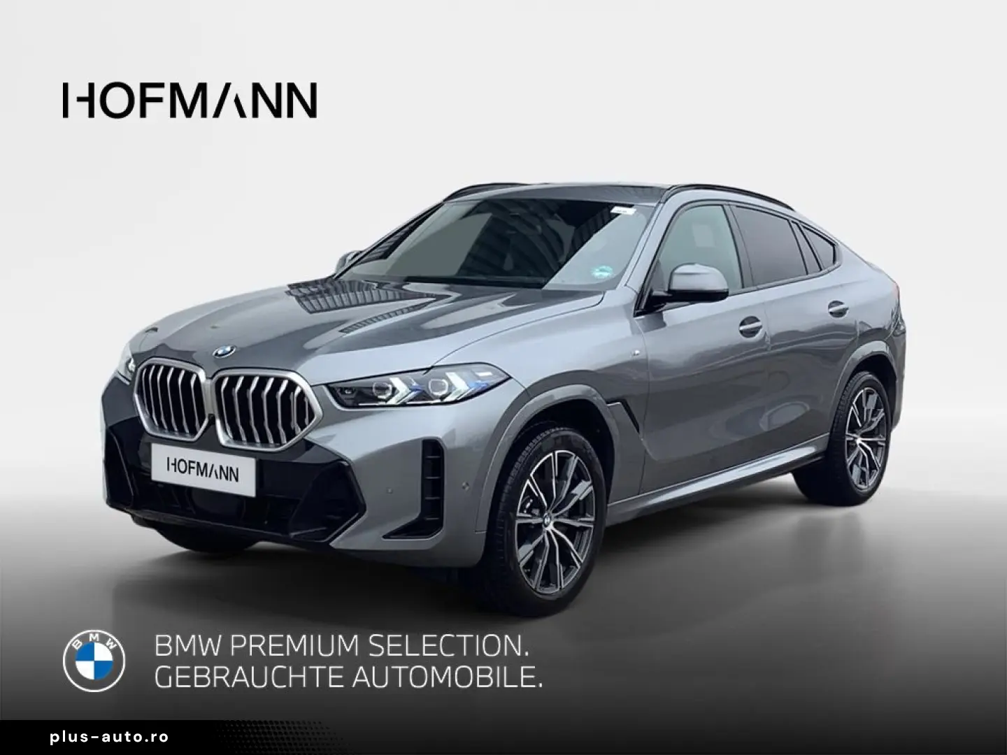 BMW X6 xDrive30d M Sport AHK ACC Inno Pano Massage