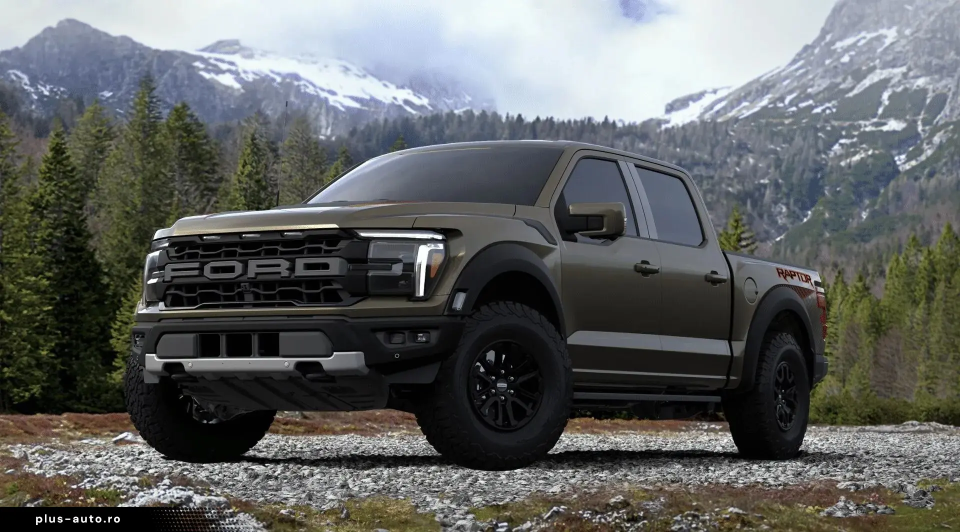 Ford F 100