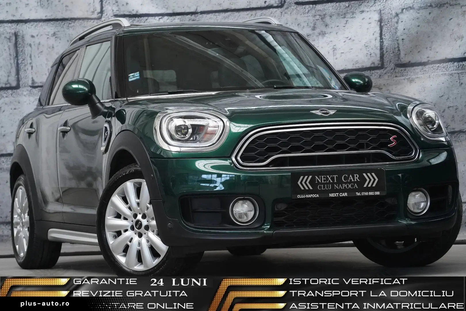 Mini Altele