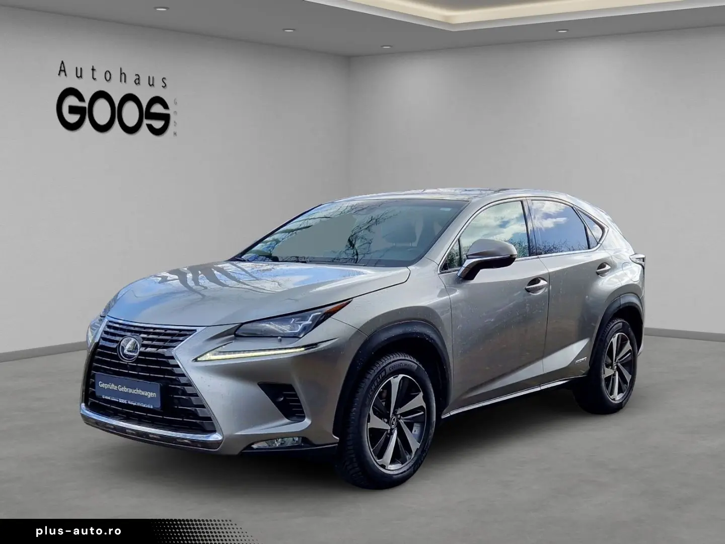 Lexus Nx 300