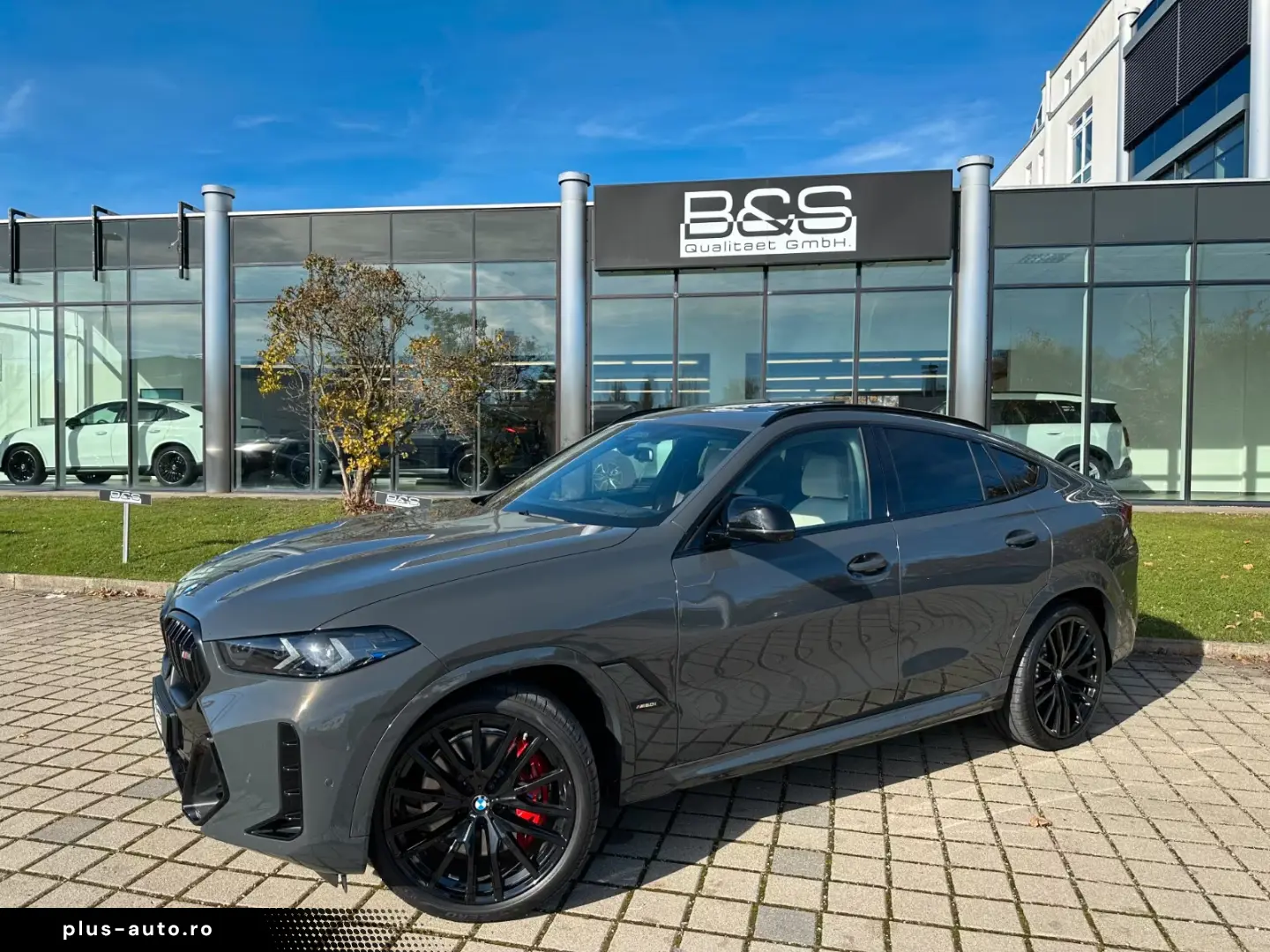BMW X6 M60