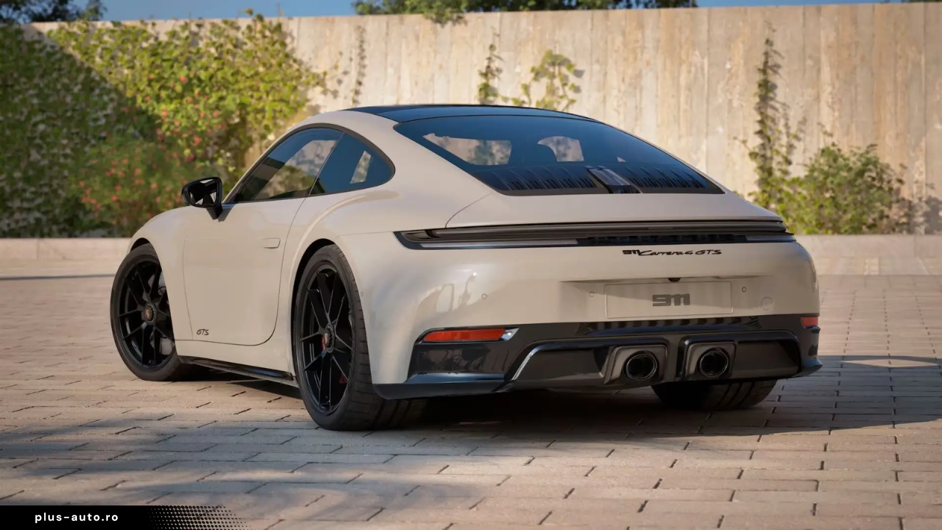 Porsche Carrera Gt