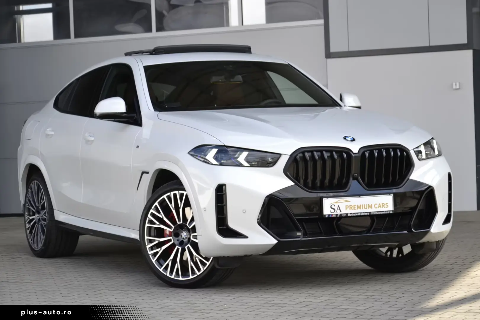 BMW X6