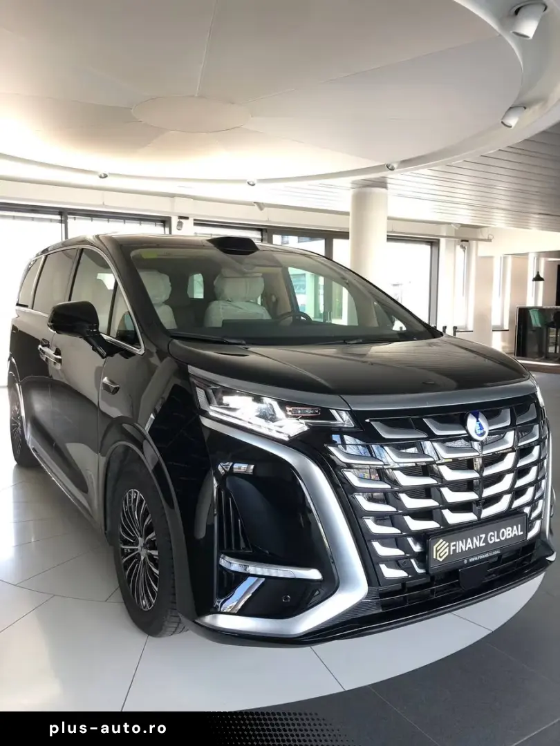 BYD Other DENZA D9