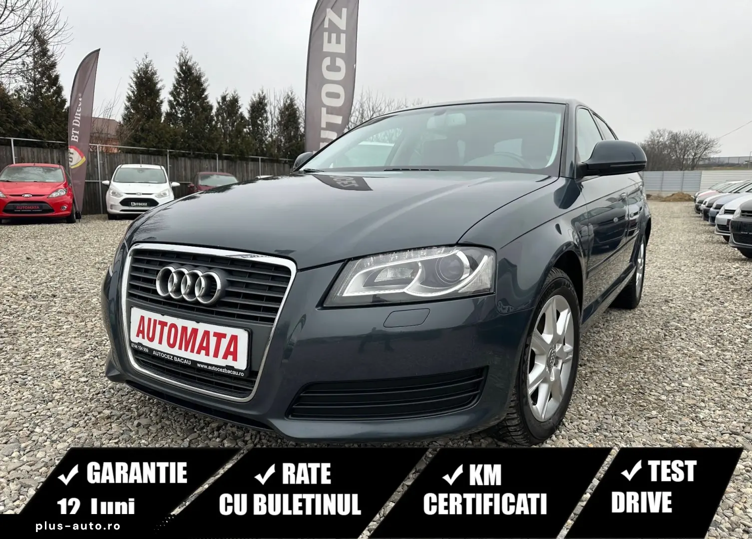 Audi Altele