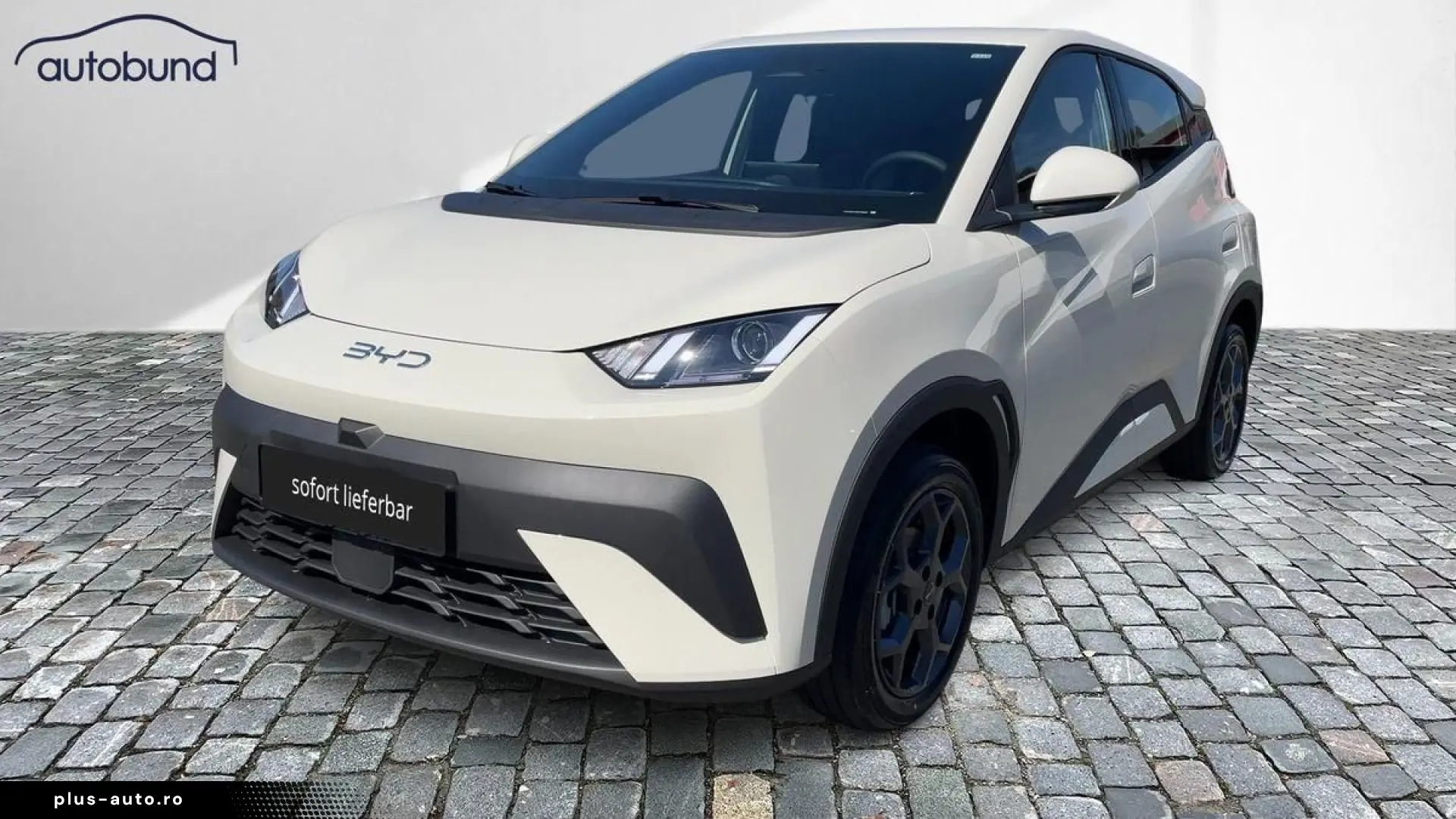 BYD Dolphin
