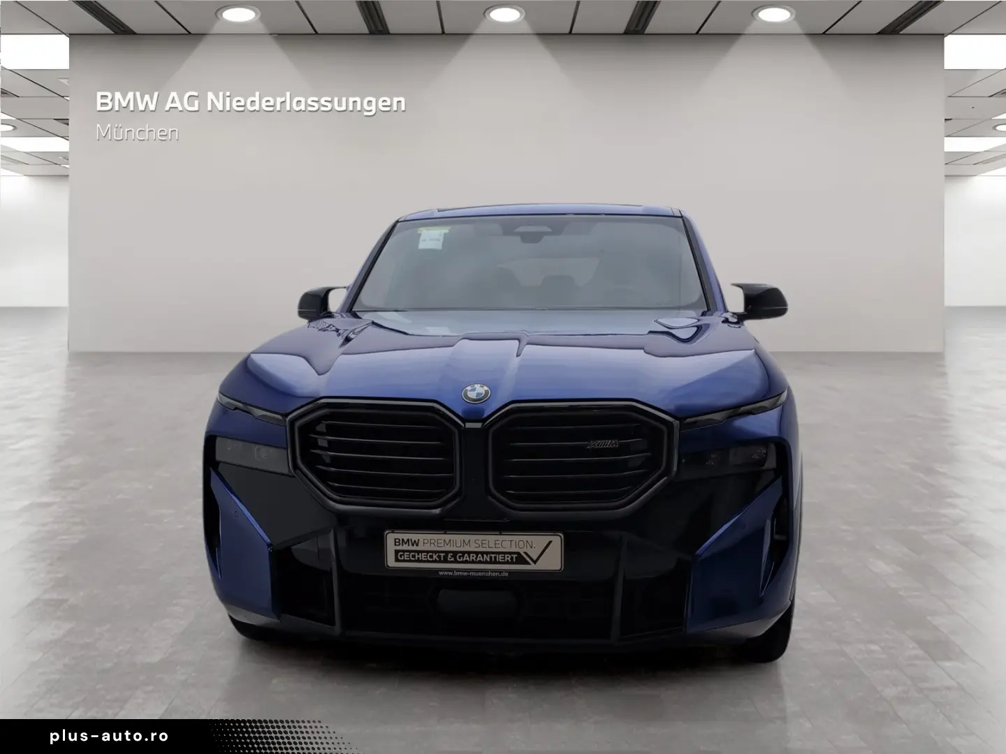 BMW Xm