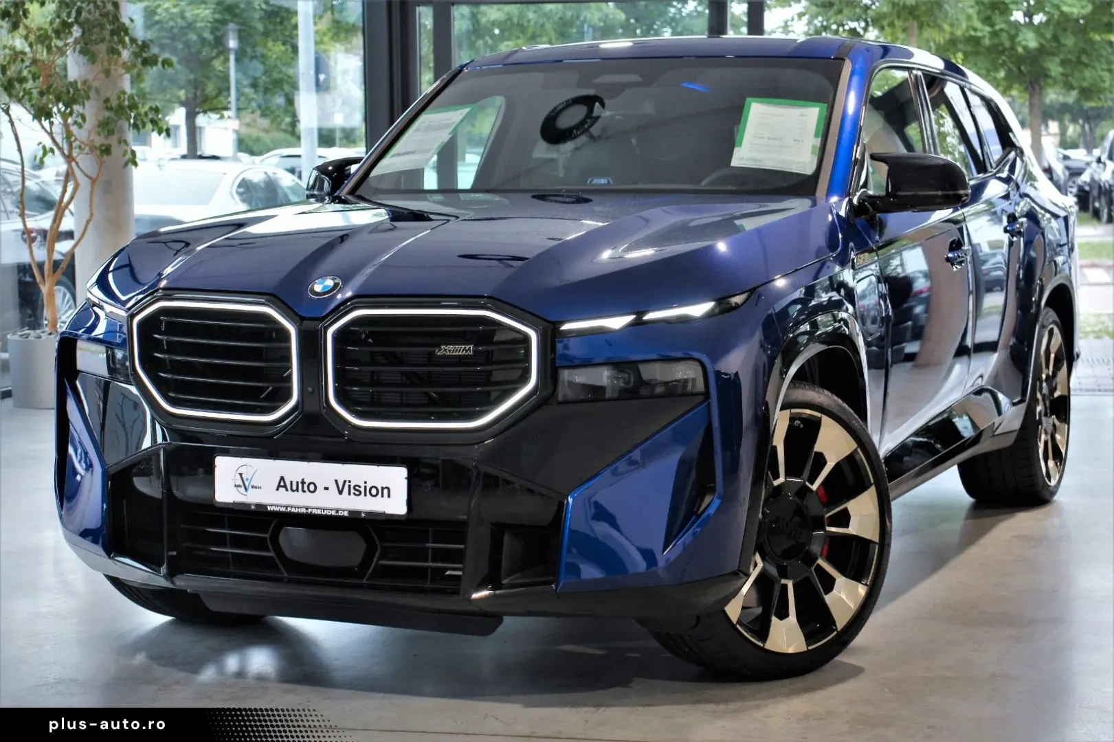BMW Xm