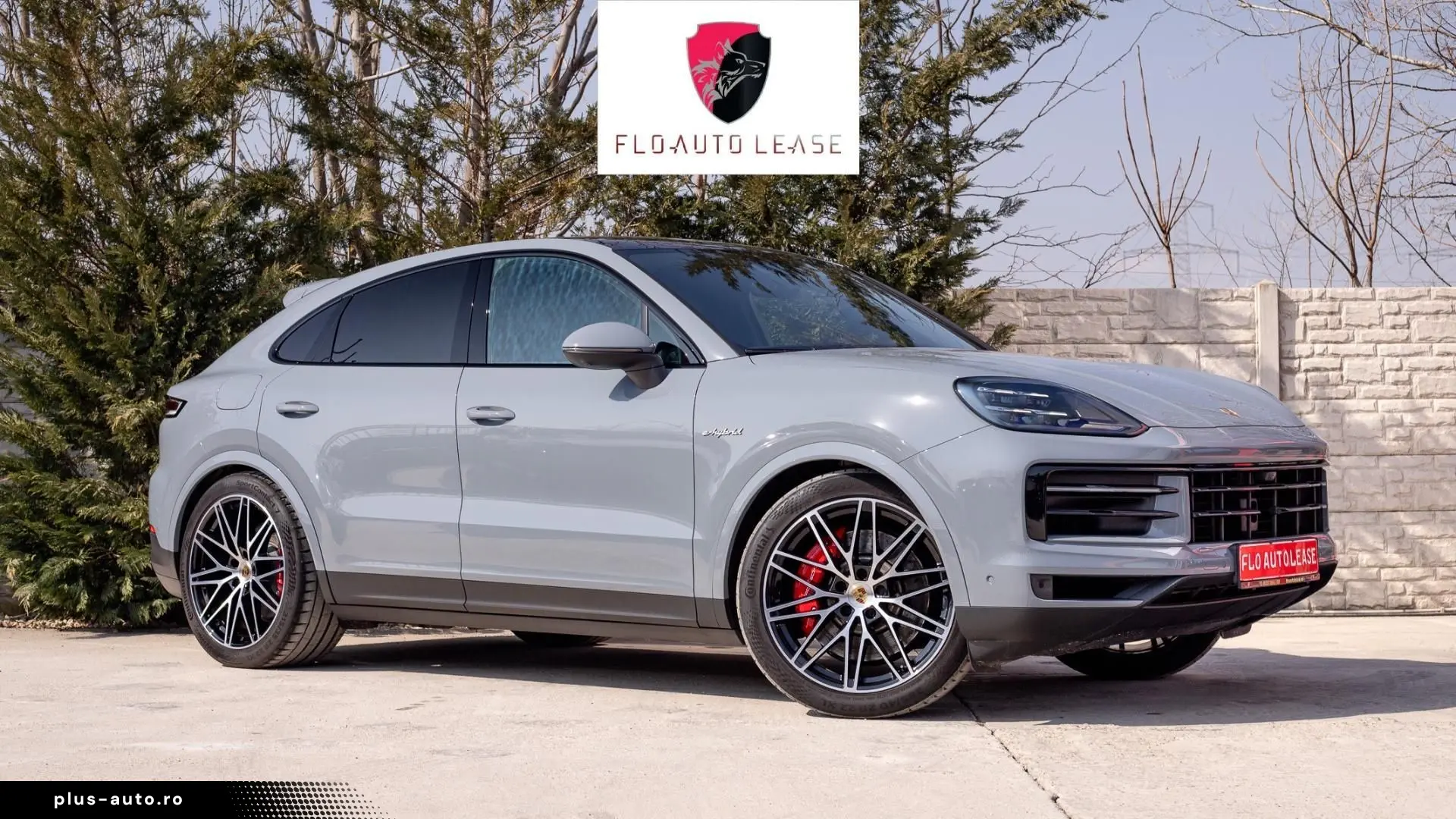 Porsche Altele