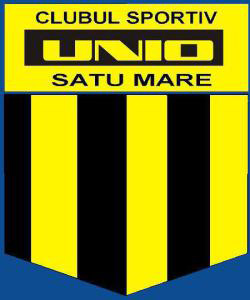 Concurs internaţional de şah  la Satu Mare