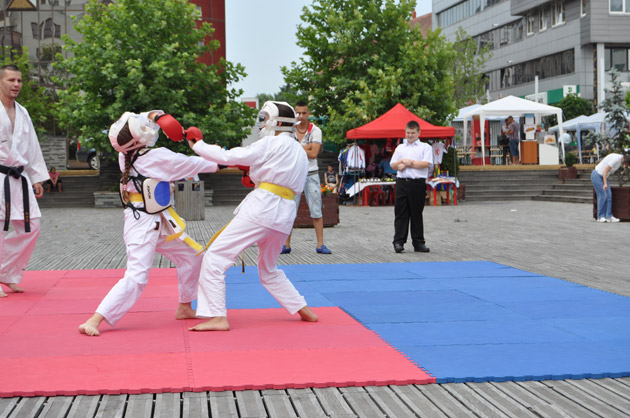 Sportul s-a bucurat de succes de Zilele județului