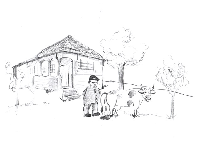 Aceleaşi ozeneuri,  acelaşi Castorică