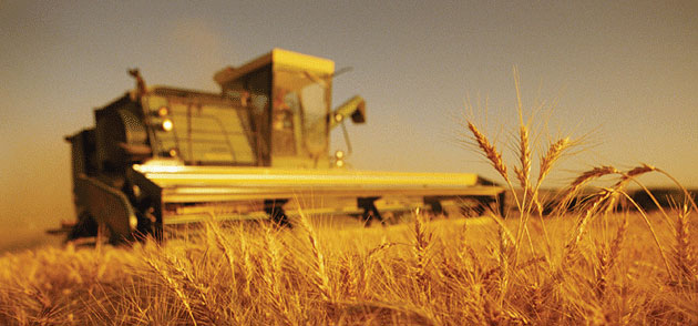Sprijin pentru agricultorii sălăjeni