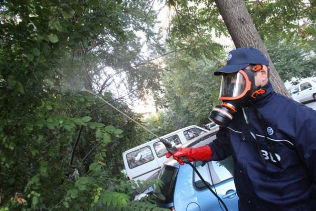 Dezinsecţie generală  în Sătmar