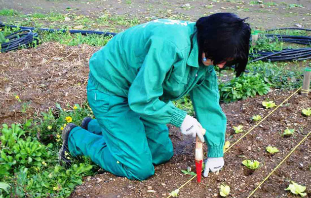 Agricultura ecologică, o şansă pentru sătmăreni