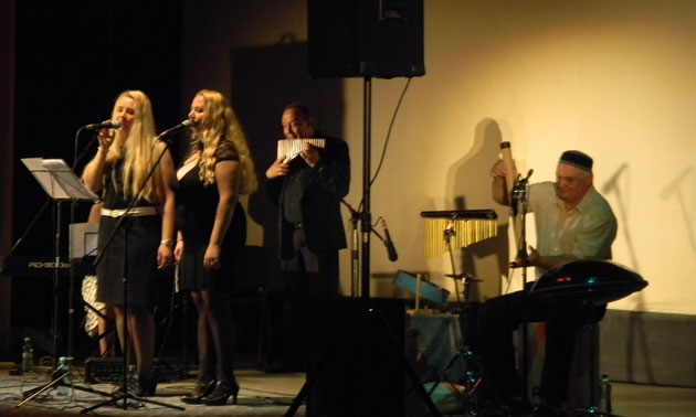 Sute de sătmăreni s-au relaxat prin meloterapie la Casa de Cultură