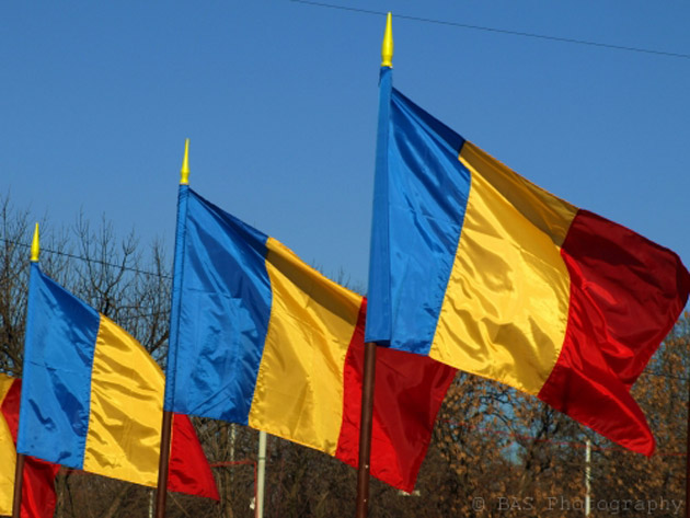 Potrivit noii Constituţii - Tricolorul va avea stema ţării