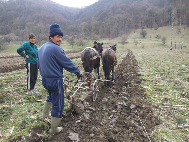Fermierii așteaptă subvențiile pentru agricultura ecologică