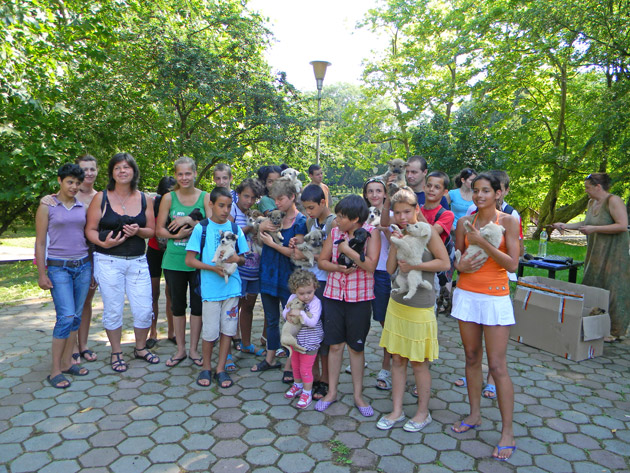 Un nou târg de adopţie la Grădina Romei