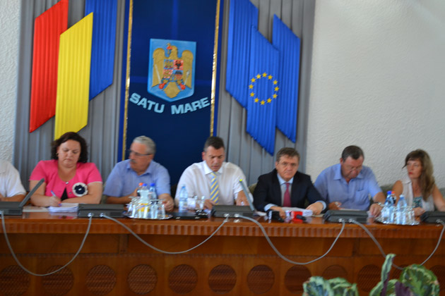 Consiliul Judeţean ajută Spitalul şi Muzeul