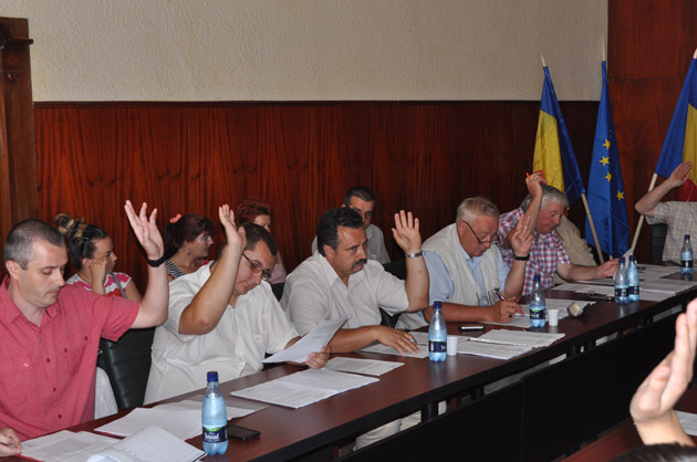 Zilele Careiului, organizate fără bani publici