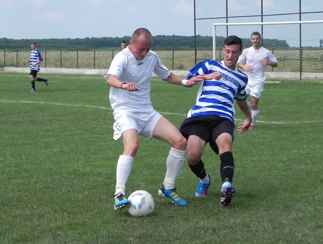 Se conturează lotul galben-albaștrilor