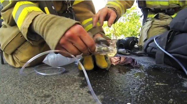 Un pompier salveaza dintr-o casa in flacari o pisica si o readuce la viata!