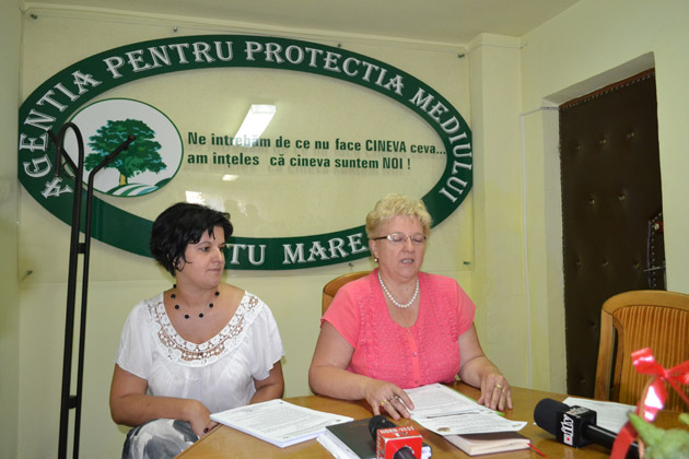 Salată de vară pregătită din “coşuri verzi”